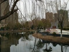 -五里湖湿地公园