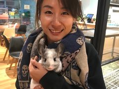 -藦茜花园宠物主题亲子互动体验馆(国顺东路店)