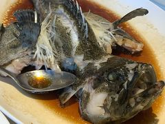 清蒸石斑鱼-利苑酒家(华熙国际店)