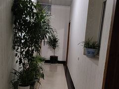 -体康盲人专业推拿