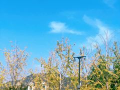 -天伦里餐厅(绿城桃花源店)