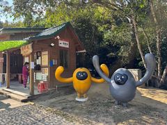 -海南霸王岭国家森林公园