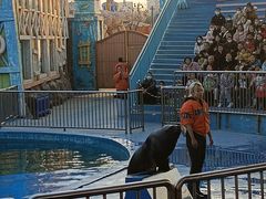 -华夏文旅海洋公园