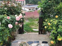 -荒度咖啡(北九水店)
