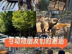 -长白岛森林公园