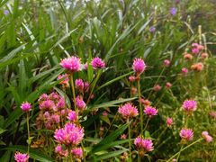 -国家植物园南园