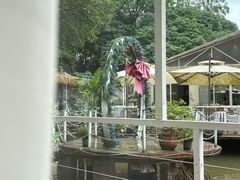 -芭厘农庄老字号·清远鸡