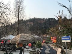-桃源山庄·水蜜桃采摘·柴火鸡·烧烤团建(龙泉山店)