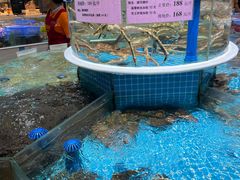 -皮记海鲜1995(寮步店)
