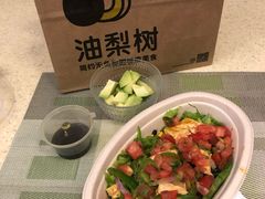-油梨树AVOCADO TREE(顺义新国展店)