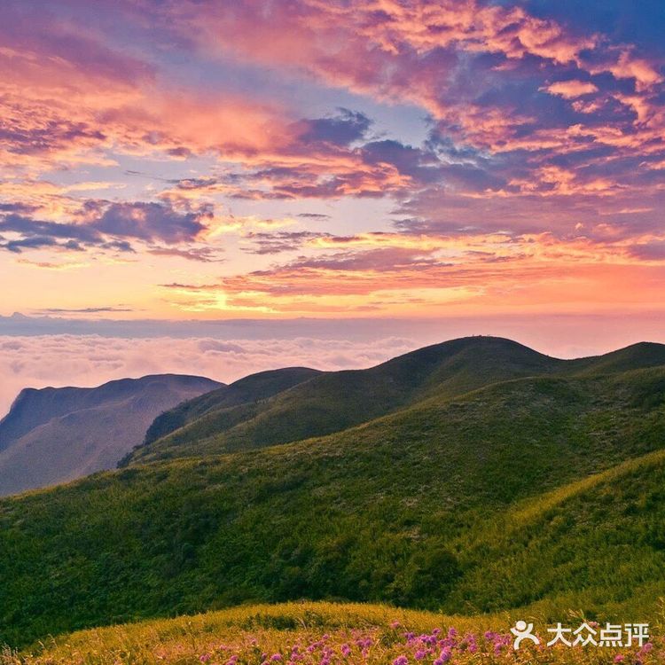 天上花海