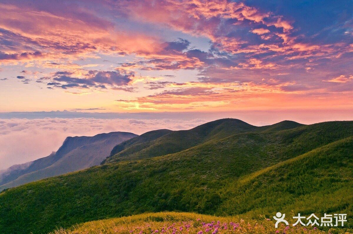 天上花海