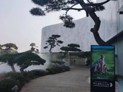 -罗红摄影艺术馆