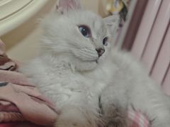 -纳吉亚猫专科动物医院博雅分院