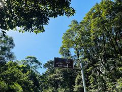 -梧桐山风景名胜区