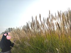 -汉长安城未央宫国家考古遗址公园