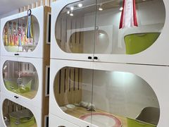 -青奢宠物·青奢猫舍