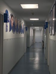 -温州伯思立医院