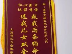 -嘉馨宠物医院·CT影像转诊·心脏科·犬猫全科诊疗中心(下沙大学城院区)