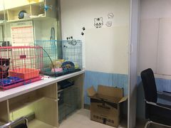 -佑安动物医院·全科·内窥镜中心(幸福巷店)