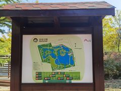 -大兴滨河森林公园