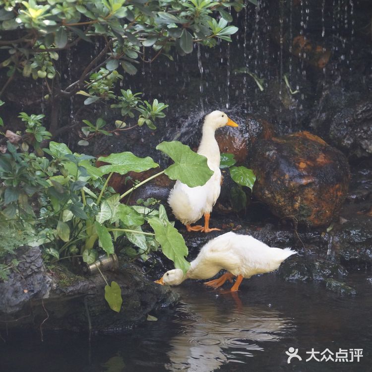 熙熙攘攘皆为食来~ ~ 酷热里，怀着四十多度的热情