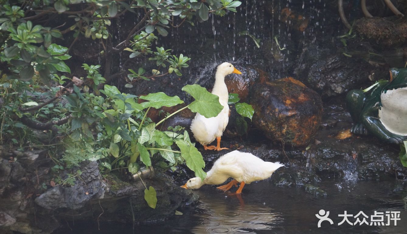 熙熙攘攘皆为食来~ ~ 酷热里,怀着四十多度的热情