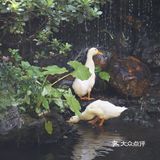 熙熙攘攘皆为食来~ ~ 酷热里,怀着四十多度的热情