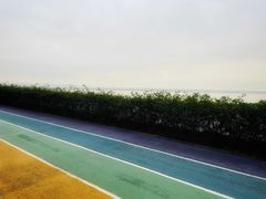 -贡湖湾湿地公园
