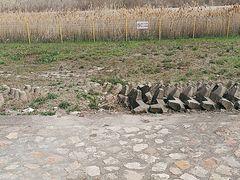 -金山嘴渔村