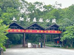-普洱太阳河森林公园