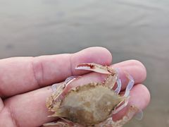 -东戴河风景区-止锚湾