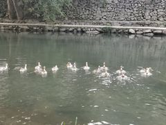 -鹿亭中村