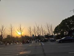 -艾溪湖湿地公园
