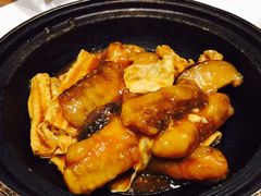 支竹炆海红鲶-稻香酒家·33年老字号·港式粤菜(富邦中心店)
