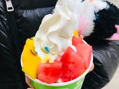 -Salud撒露欧洲冻酸奶(蓝色港湾店)