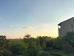 -上海崇明金茂凯悦酒店