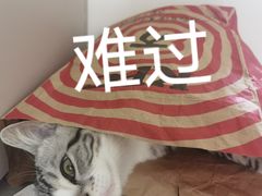 -胖哥俩肉蟹煲(河北勒泰购物中心店)