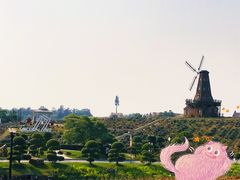 -大塘金香草谷