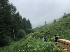 -驼梁风景区