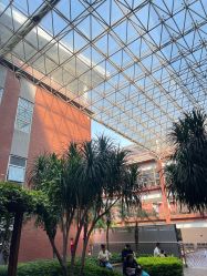-广西壮族自治区妇幼保健院(厢竹院区)
