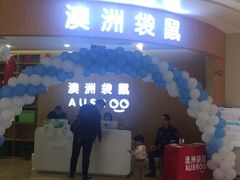 -澳洲袋鼠早教(金辉环球广场店)