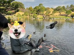 -水前寺成趣园