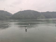 -千岛湖品鱼馆(钓鱼岛店)