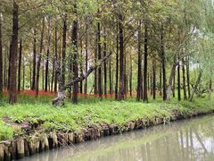 -狼山风景名胜区