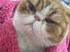 -飞虹鱼馆(春华路店)