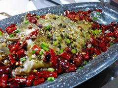 麻辣臭鳜鱼-小徽舟臭鳜鱼(雅清街店)