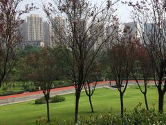 -龙头寺公园