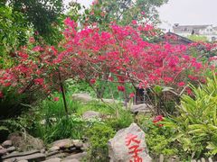 -两江国际影视城