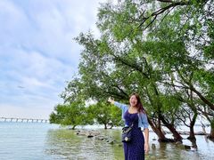 -宝安西湾红树林湿地公园